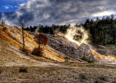 Mammoth Hot Springs