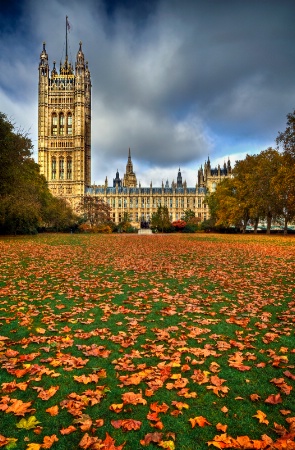 Autumn by the Abbey