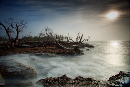 Sunrise Over The Cove