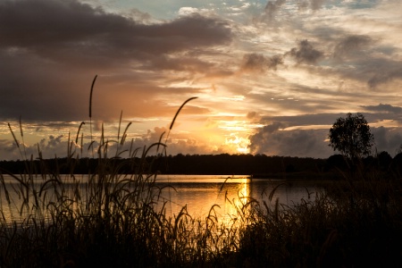 North Pine Dam sunrise