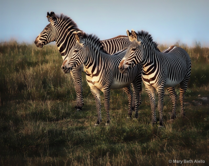 Sunset at The Wilds