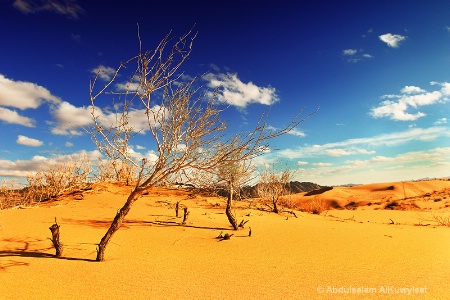 Dry desert