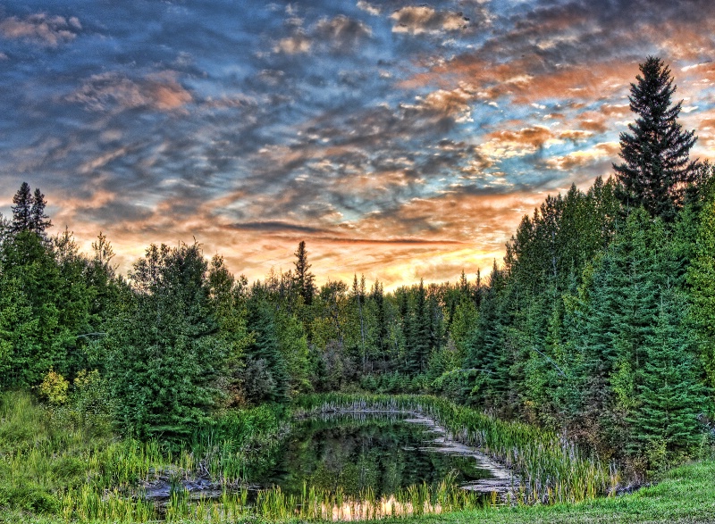 Pond HDR 