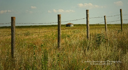 ~ BIN FENCED IN ~