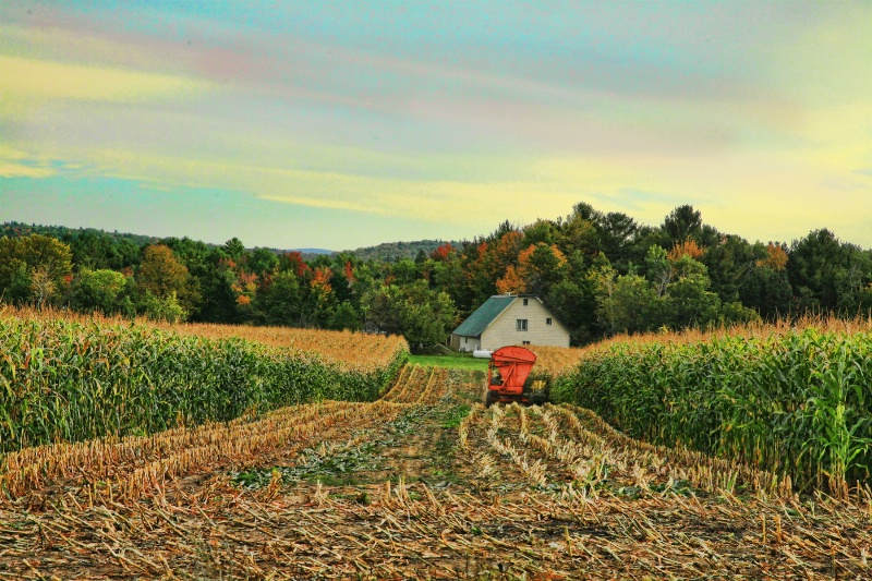 Maine Farm: End of work Day