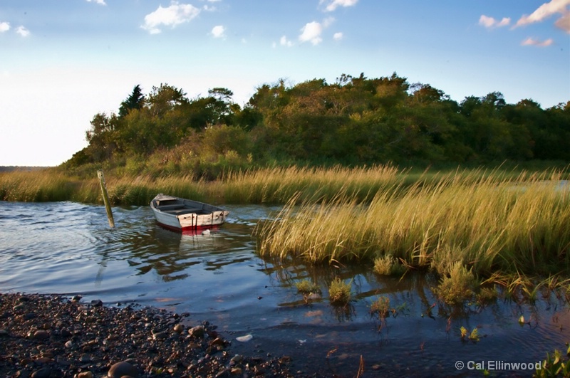 Low Tide in the Salt Marsh