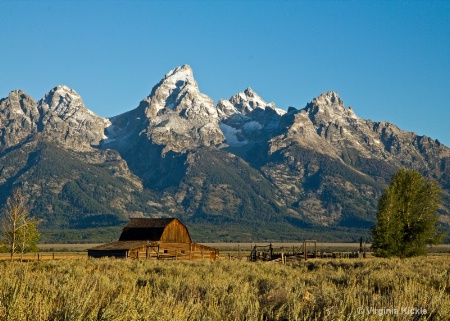 Mormon Row Barn