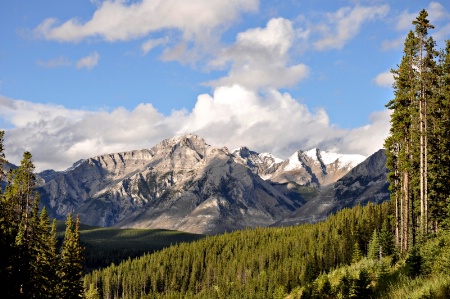 Canadian Wilderness