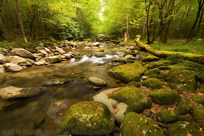 A Rocky River