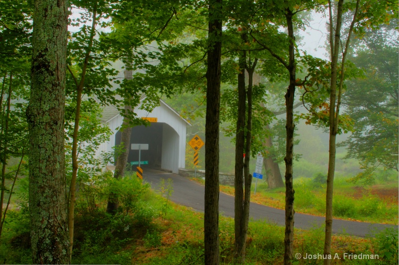 Loux Covered Bridge Through Trees - Misty Morning