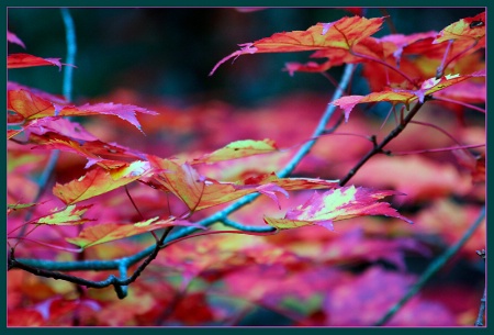 Autumn in Minnesota