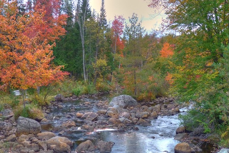 Forestport hdr