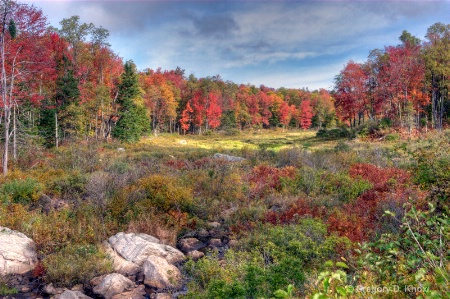 Breathe taking fall day in New York