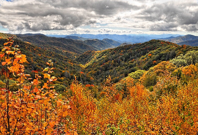 Smoky Mountain Valley