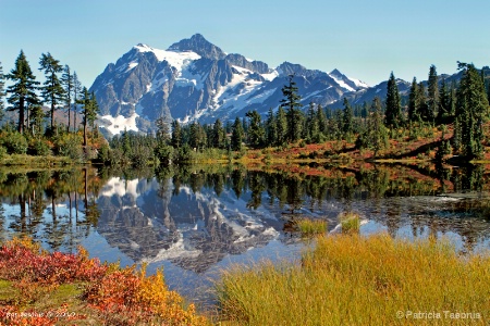 Mt. Shuksan & Picture Lake