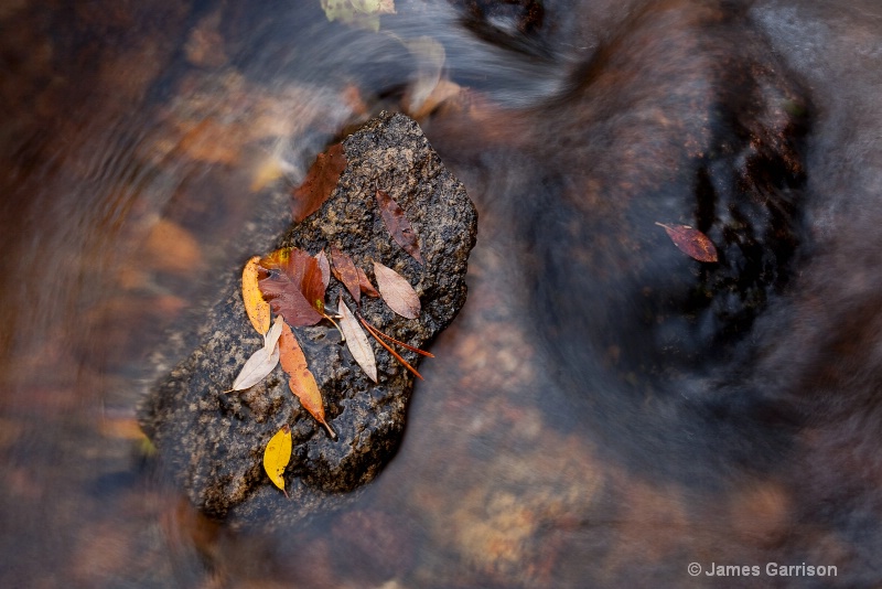 Island in the Stream