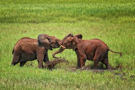 Mud Puddle Play