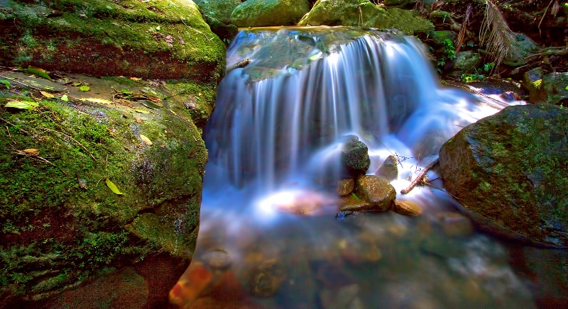 Through Moss Covered Rocks