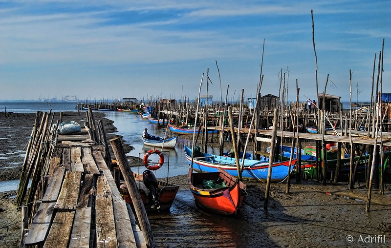 Carrasqueira's Palafitic Piers