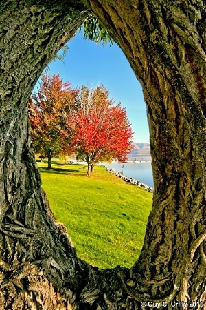 Framing Fall Colors