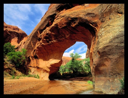 Desert Arch