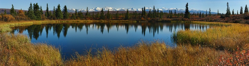 Poignant Pond (large version?)