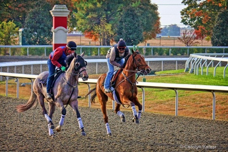 Four Beat Gallop - Kentucky Thoroughbreds