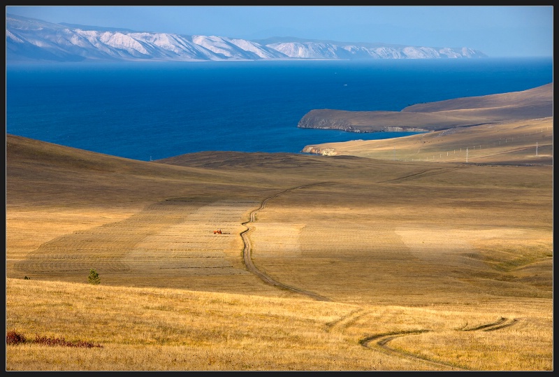 Harvest time on the Olkhon Island