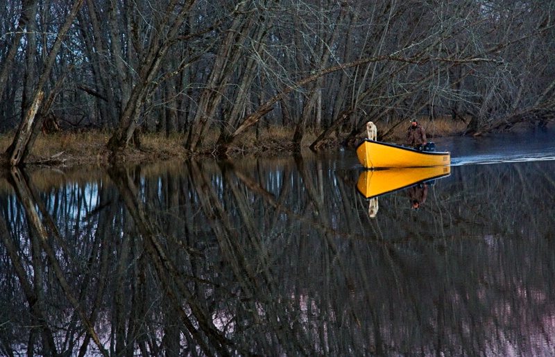 Evening Cruise II