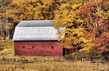 Barn In The Woods.