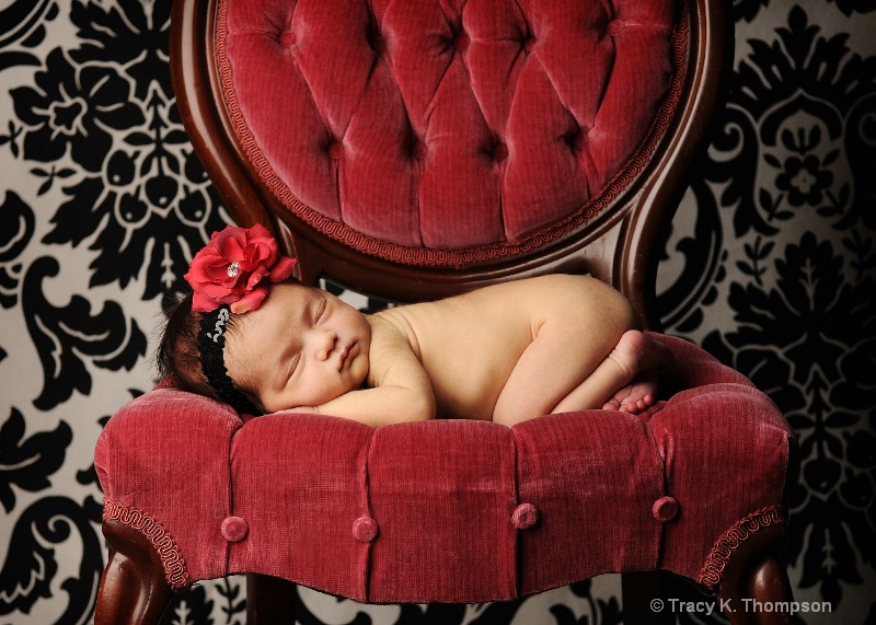 Elegant newborn :) 