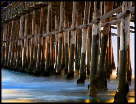 Old Wood And The Sea