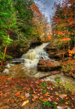 Stormy Fall Day