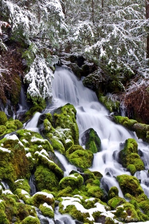 Clearwater Falls