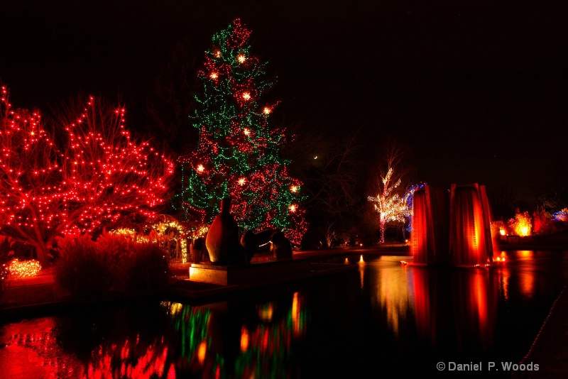 Holiday lights at Denver Botanical Gardens 