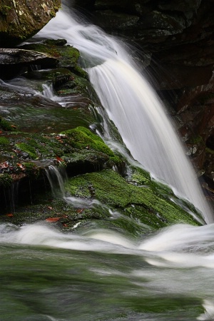 Mossy Mountain Stream