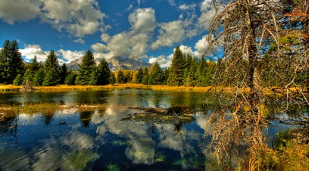 Morning Teton Shot