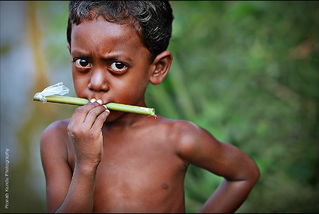 The Flute Player