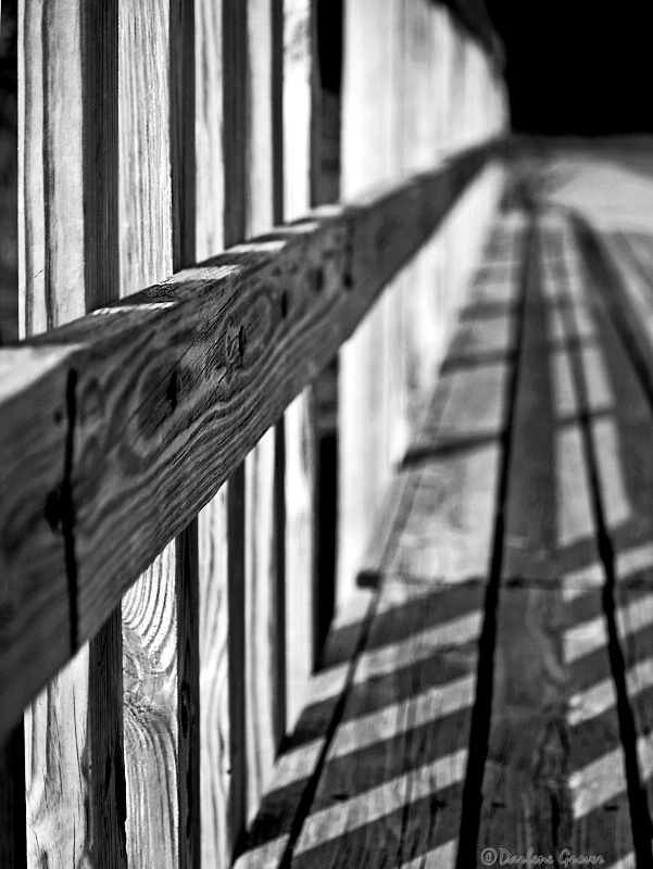 Lines and Shadows