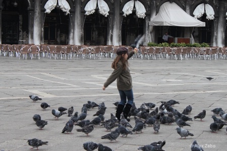 #1 Dancing with birds in Venezia