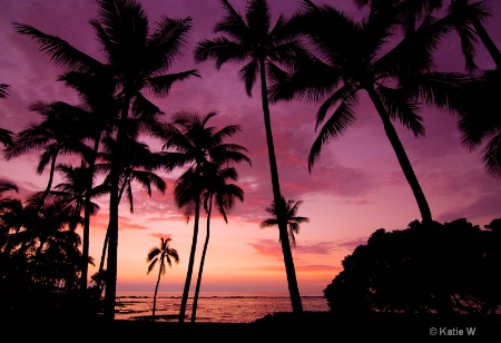 Hawaiian Sunset