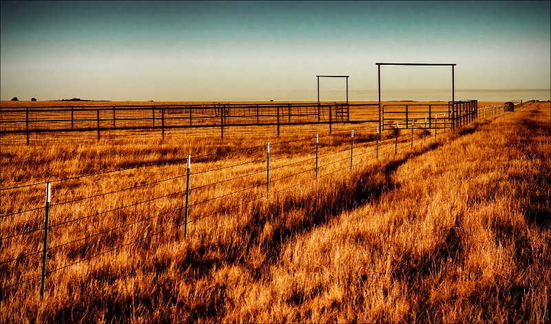 ~ FENCES ~