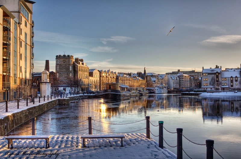 The Shore In Winter