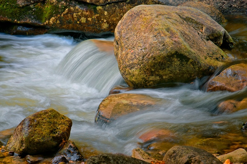 Stream Detail