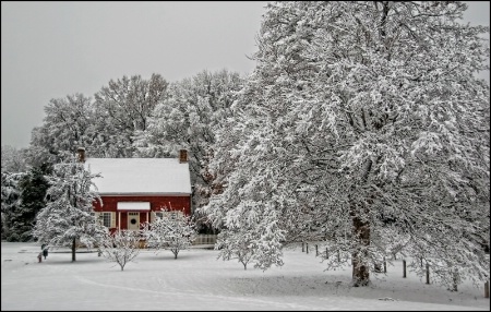 White Christmas in Old Salem, #6