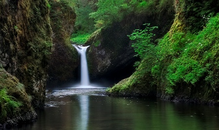 Moody Punchbowl