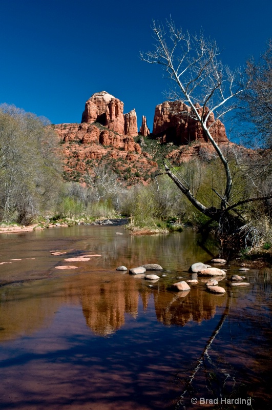 Looking Back at Castle Rock