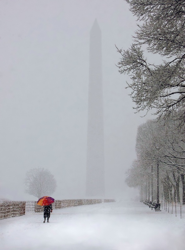 Walker in Washington White