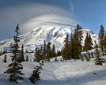 Lenticular