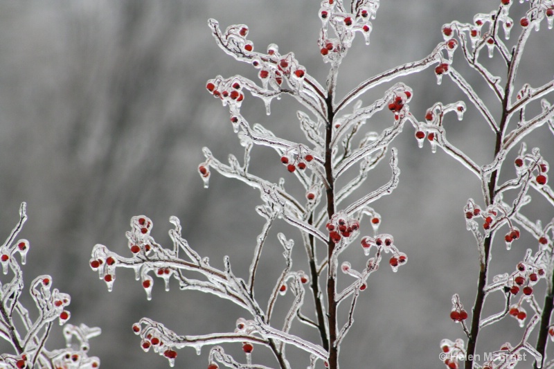 Ice has a beauty all it's own